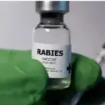 How Chicken Heads Dropped From Helicopters Defeated Rabies in Europe