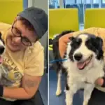 Missing Dog Turns Up 1,100 Miles From Home, and No One Knows How He Got There