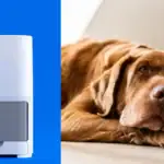 IDEXX Launches First In-Clinic Cardiac Test That Screens Both Cats and Dogs for Heart Disease