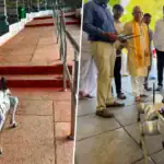 TTD Plans to Deploy AI-Powered Robotic Dogs to Prevent Leopard Encounters on Tirumala Hills