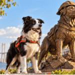 A Stray Puppy Who Became a National Hero: Venezuela Unveils a Bronze Statue to Tsunami, the Rescue Dog