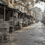 Kolkata's Biggest Pet Market Emptied Out. Not Because of a Ban — Because Nobody Knows Which Licence They Need.