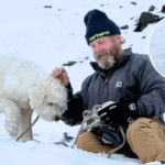 A Dog Survived 50 Hours in an Alaskan Avalanche. Before You Buy an AirTag for Your Dog, Read How It Actually Worked.