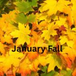 Indian Stock Markets 2026