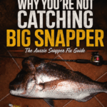 Big Snapper