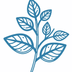 Icon für Naturheilkunde, Heilpflanzen und Phytotherapie Ratgeber - StartNatur