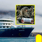 Brote de hantavirus en crucero: tres fallecidos