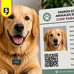 Registro de mascotas Edomex