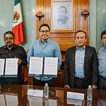 escarabajo descortezador en San Miguel Cerezo
