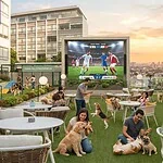 Fan Fest Perruno en CDMX