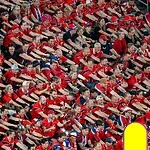 viking row