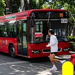 Metrobús Harry Styles CDMX