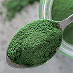 Chlorella