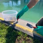 Referenzen 328 Terramore-Bodendesign Pool_3653