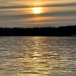Referenzen 82 ©Terramore Bodendesign IMG 8640
