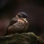 how-to-spot-mining-used-gpu-4-tips-thumb