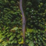 Aerial view of a vehicle driving on a winding road through a dense forest, representing the journey of a commercial trucking business.