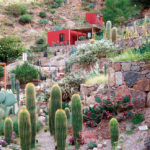 Jardín botánico Chirau Mita