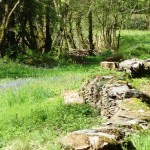 Enjoy this beautiful valley