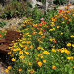 Park Villa garden - there are gardens all round the Mill too