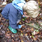 inspire curiosity