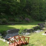 River view
