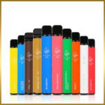 Elf Bar 600 Puffs Disposables