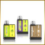 Disposable Vape Vapengin