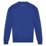 Bluza unisex NOW 440 g crewneck niebieska – tył | Vibes Goods