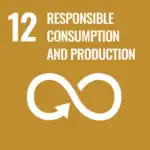 Responsible consumption and production SDG