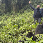 Where Does Gorilla Trekking Take Place in Uganda?