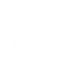 Customer Profiles