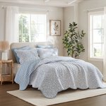 Madison Park Darcy 3 Piece Print Quilt Set in Blue, Full/Queen MP14-4431