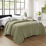 Serta Dream Soft Heated Blanket in Sage, Queen ST54-3589