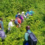 5 Days Rwanda Chimpanzee Trek, Karisimbi Hike and Gorilla Safari