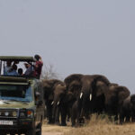 14 Days Best of Rwanda tour