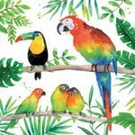 ppd servetten tropical birds small ppd servetten tropical birds small