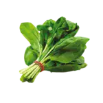 Palak or spinach
