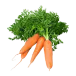 Carrots are rich in beta-carotene, a precursor to vitamin A, which is essential for good vision, immune function, and skin health.