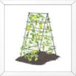 A creeper net, often referred to as a trellis net, is an essential tool for gardeners who cultivate climbing vegetables such as cucumbers, beans, peas, and tomatoes.