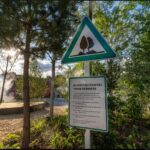 Klimawäldchen in Heilbronn