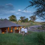 Luxury Safaris and Discovery Tours