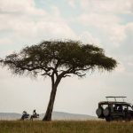 Bespoke Uganda Safari Experiences