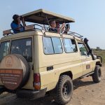 Your Gateway to uganda wildlife