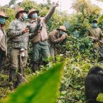 Uganda Trekking Tour