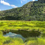 semulik national park