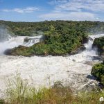 Murchison falls national park