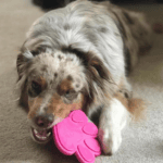 Mordedor Huella - Imagen 3