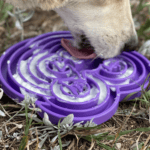 Salamandra Licki Mat - Imagen 2