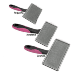 Carda Blanda Grande - Imagen 2